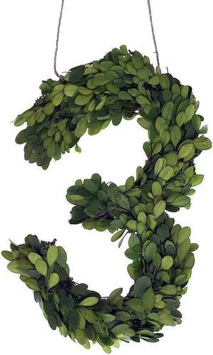 Modern Home 12" Real Preserved Boxwood Monogram Wreath Letters - 3