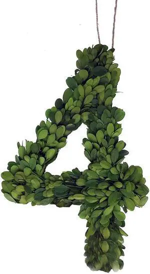 Modern Home 12" Real Preserved Boxwood Monogram Wreath Letters - 4