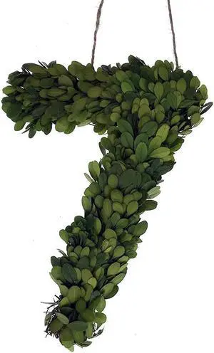 Modern Home 12" Real Preserved Boxwood Monogram Wreath Letters - 7