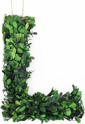 Modern Home 12" Real Preserved Boxwood Monogram Wreath Letters - L