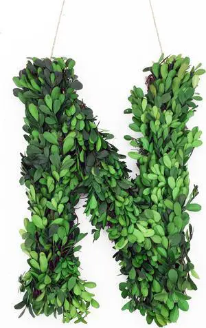 Modern Home 12" Real Preserved Boxwood Monogram Wreath Letters - N