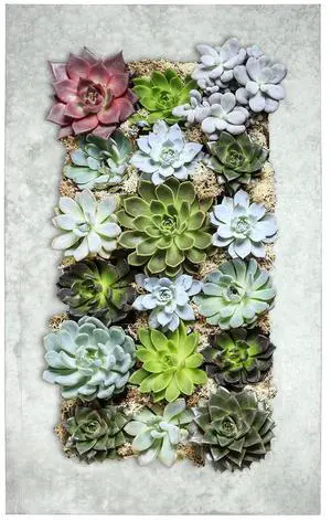 Modern Home Living Wall Galvanized Steel/Zinc Succulent Planter (Aged Zinc, 18 Pocket)