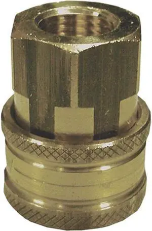 AR Blue Clean Female Qc Al-Qc1/4B 1/4” F Ball Quick Coupling, Brass