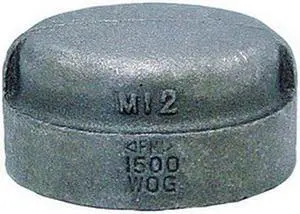 ANVIL 0318901303 1/2" Malleable Iron Cap