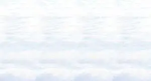 30'; Snowscape Backdrop - plastic