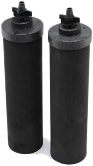 Black Berkey Purification Elements Water Filters (Set of 2)
