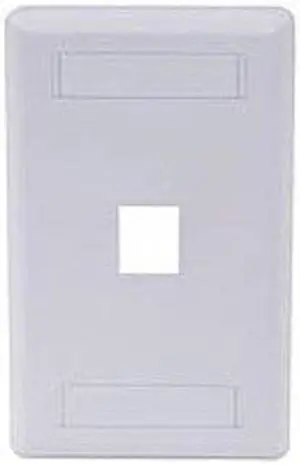 PLATE, WALL, FLUSH,1-G,1PORT,WH