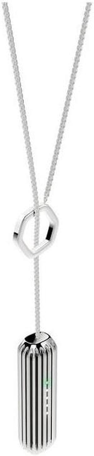 Fitbit FB161ALSR Standard Pendant for Flex 2 Activity Tracker - Silver