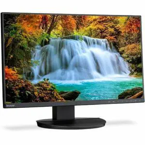 Sharp MultiSync DD-EA242F 24" Class Full HD LED Monitor - 16:9 - 23.8" Viewable - In-plane Switching (IPS) Technology - LED Backlight - 1920 x 1080 - 16.7 Million Colors - 250 Nit - 6 ms - 7