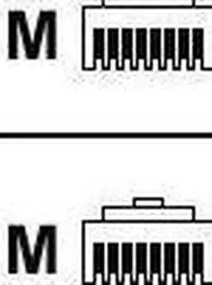 Raritan Cat. 5E UTP Cable Raritan Cat. 5E UTP Cable