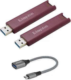 Kingston DataTraveler Type-A 256GB USB Flash Drive (2-pack) with USB-C adapter