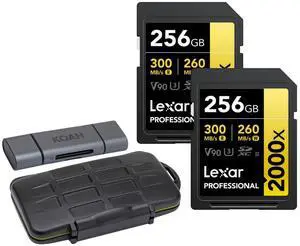 Lexar Professional 256GB 2000x UHS-II SDXC Memory Card (2-Pack) Bundle with Card Reader and Storage Case (3 Items)