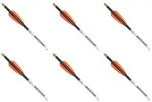 Ten Point Wicked Ridge Match 400 Grains .004 Inch Straight Alpha-Nock 20-Inch Carbon Arrow (6-Pack)