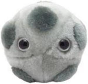 Giant Microbes HPV (Human papillomavirus) Plush Toy GMUS-PD-0410 GIANT MICROBES