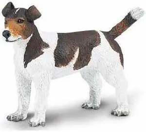 Safari: Jack Russel Terrier