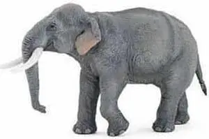 Asian Elephant Figurine by Papo - 50131