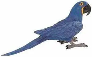 Safari Hyacinth Macaw