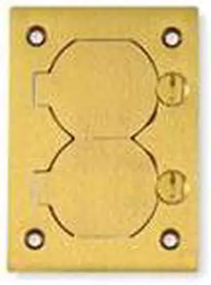 HUBBELL WIRING DEVICE-KELLEMS S3825 Floor Box Cover, Retengular Box Type, 1