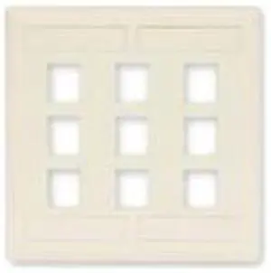 PLATE, WALL, FLUSH,2-G,12PORT,OW