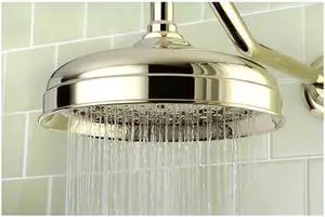 VICTORIAN RAINDROP SWR HEAD, PVD, 8-Polished Brass Finish