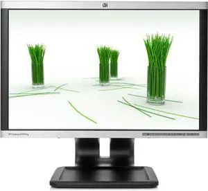 HP LA1905WG 19" LCD Flat Panel Computer Monitor Display