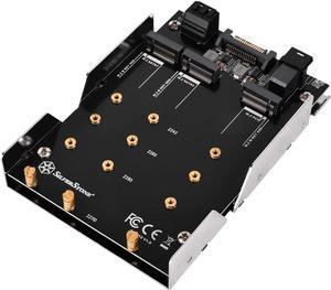 SilverStone Technology 3.5" to 2 x M.2 SATA and 1 x M.2 PCIE NVMe Adapter SDP12