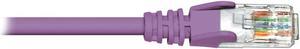 Cat6 Patch Cable - Purple, 25ft Purple