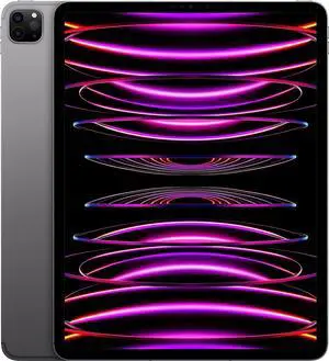 Apple iPad Pro 12.9" (6th Gen) - 512GB (Wifi + LTE)(Unlocked) - Space Gray