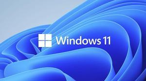 Microsoft HZV-00102 Windows 11 Pro for Workstation OEM