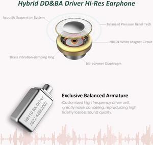 Surfans SE01 IEM Headphone, High-Res Lossless Hybrid Driver Bass in Ear Monitors Earphone, Noise Isolating Wired Earbuds with 0.78mm 2pin Detachable Cable