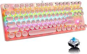 Mechanical Gaming Pink Keyboard,87 Key Retro Punk Typewriter-Style,Blue Switch RGB Backlit Keyboard,Anti-Ghosting, USB Wired, for PC Laptop Desktop Computer, for Game and Office