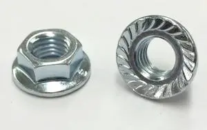 25 M 7 - 1.0 Hex Flange Nut, Class 8 with Serrations, Zinc. DIN 6923 / ISO 4161