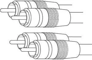 20FT RCA CABLE