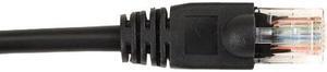 BLACK BOX CAT6PC-006-BK CAT6 250-MHZ STRANDED ETHERNET PATCH CABLE - UNSHIELDED (UTP), CM PVC, MOLDED SN