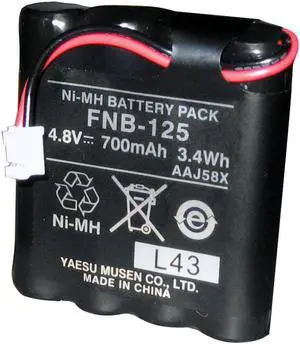STANDARD PARTS STANDARD FNB-125 BATTERY FOR HX100