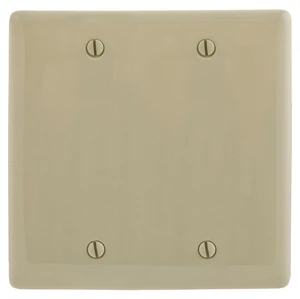 Hubbell NPJ23I Ivory Mid-Size 2-Gang Blank Nylon Box Mount Wall Plate Hubbell NPJ23I Ivory Mid-Size 2-Gang Blank Nylon Box Mount Wall Plate