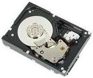 DELL 067Tmt  2Tb 7200Rpm 64Mb Buffer Near Line Sas 6Gbits 3.5Inch Low Profile Hard Disk Drive With Tray For Poweredge Server