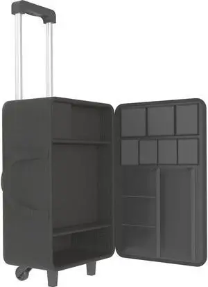 Godox CB21 S60 3-Light Kit Bag
