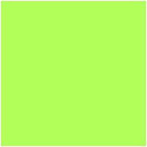Lee Filters -Green 24x21" Gel Filter Sheet #121S