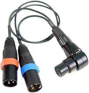 Remote Audio Balanced Stereo Breakout Cable with XLR5F to 2x XLR3M Connector