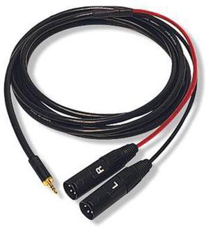 Whirlwind Connect Series MST2X 10' 3.5mm TRS-M - 2x XLR-M Canare MR202-2AT Cable