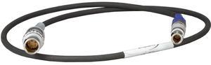 Ambient Recording ACN-MLP Master Lockit Plus Metadata Interface Cable, 23.6"