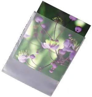 Archival Methods Archival Methods High-Density Polyethylene        Envelopes, Size: 4.25" x 5.25", Pack of 100