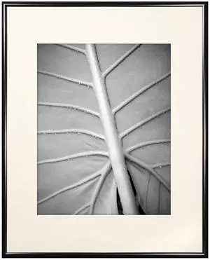 MCS Classic Aluminum 16x20" Frame, Black #44603