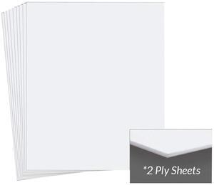 Archival Methods Museum Board 17x22 Bright White 2 Ply PKG 25 #40-227