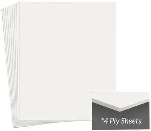 Archival Methods Museum Board 16x20 Warm White 4 Ply PKG 25 #43-408