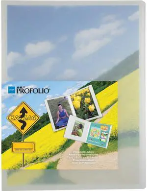 Itoya ZigZag Frost Image, Bound Photo Album for 8x11" Portrait / Vertical Pages, Holds 24 Images, Frosted Cover