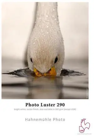 Hahnemuhle Photo Luster 290 Inkjet Paper, 13x19", 25 Sheets