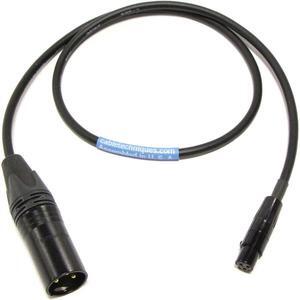 Cable Techniques 18" TA3F to XLR-3M Interface Cable for Sound Devices #CTPTXR18