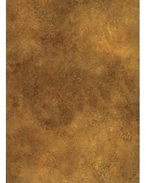 Savage Infinity 10x20ft Muslin Background Petra, Tan #406010-1020